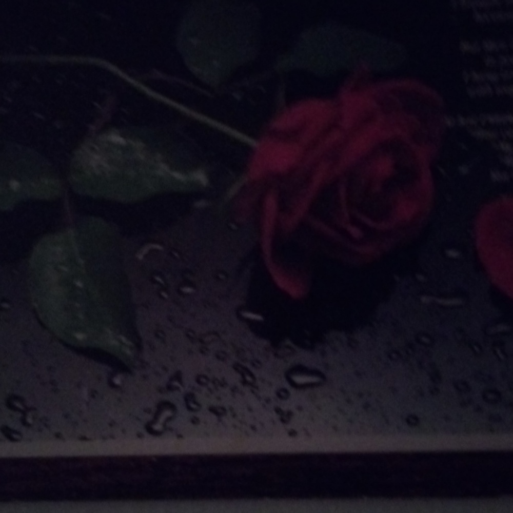 Meet your Posher, A.m